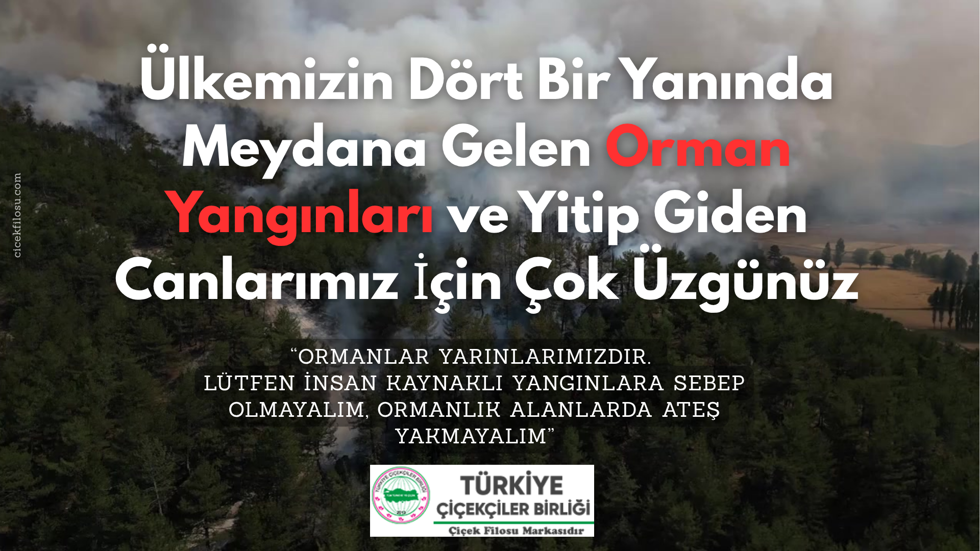 Ormanlarımız Yarınlarımızdır