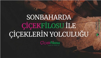 Sonbaharda Çiçeklerle Yolculuk