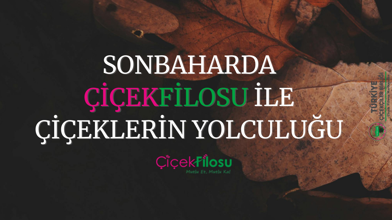 Çiçekfilosu ve Sonbahar Çiçekleri